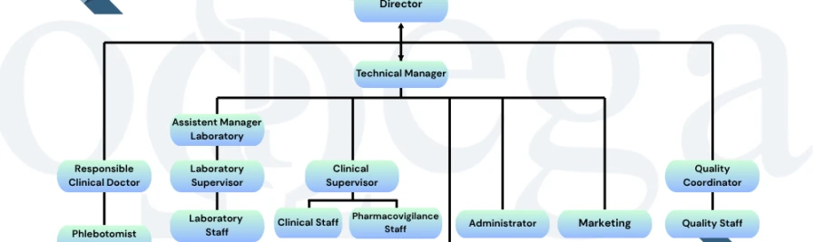Struktur Organisasi